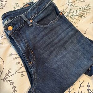 LLBEAN NWOT blue jeans in perfect condition